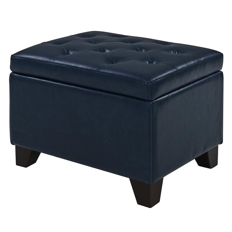 Julian Rectangular Bonded Leather Storage Ottoman