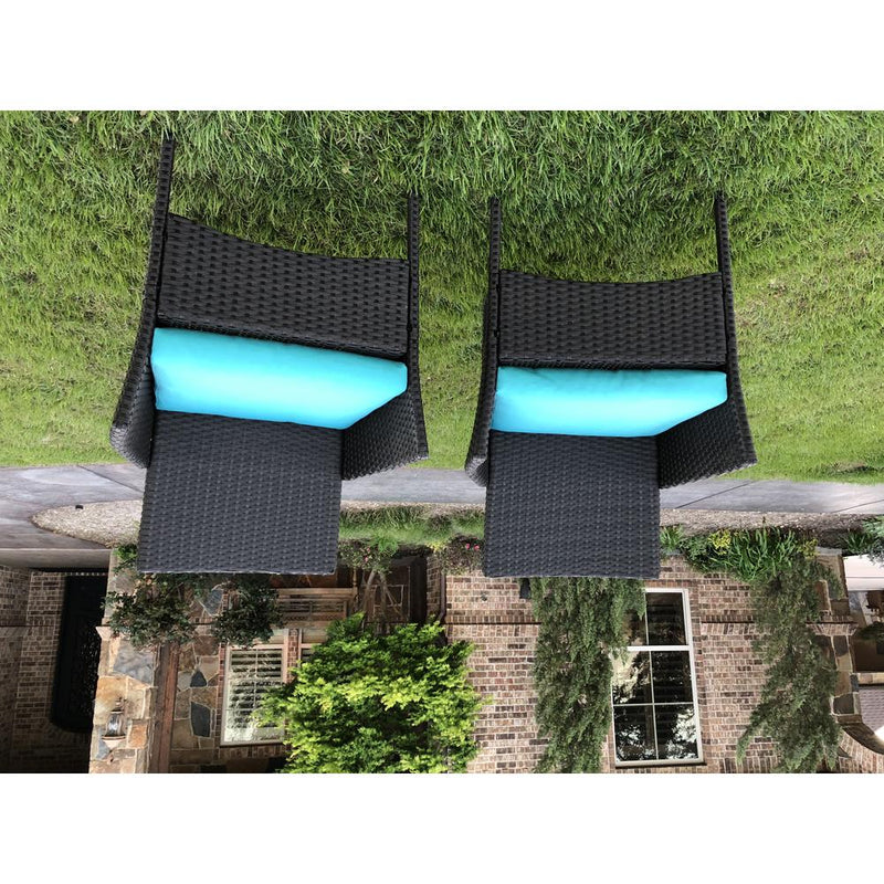 Resin Wicker/Steel Contemporary Arm Chair with Cushions  (Set of 2)