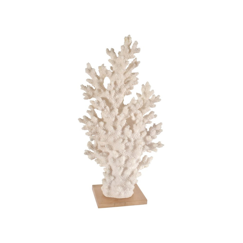 White Coral with Acrylic Base Tall