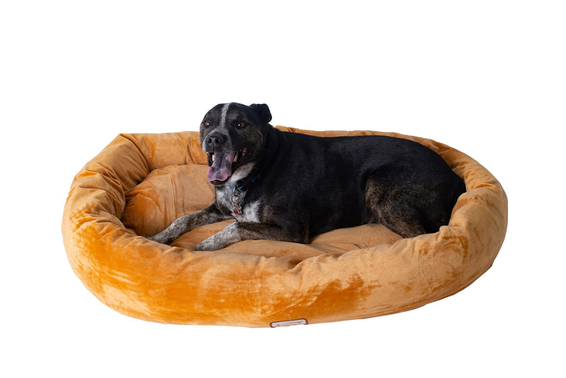 Armarkat Bolstered Pet Bed and Mat, ultra-soft Dog Bed,  Brown, Large