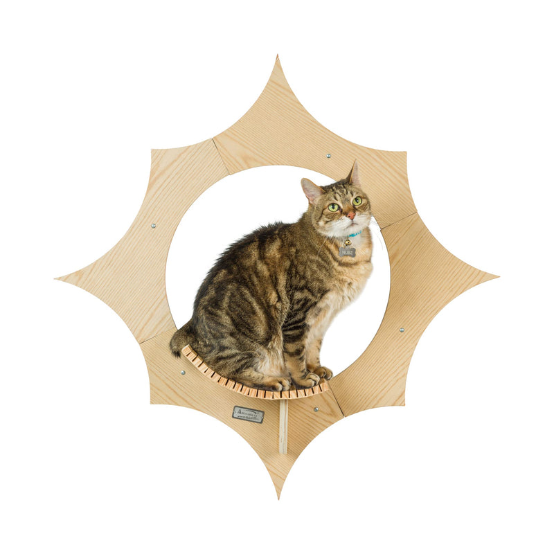 Armarkat Sun Shape Cat Wall Shelves, Modern Wall-Mounted Climbing Cats Furniture