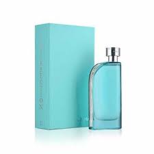 INSURRECTION LL SPORT BY REYANE TRADITION Perfume By REYANE TRADITION For MEN