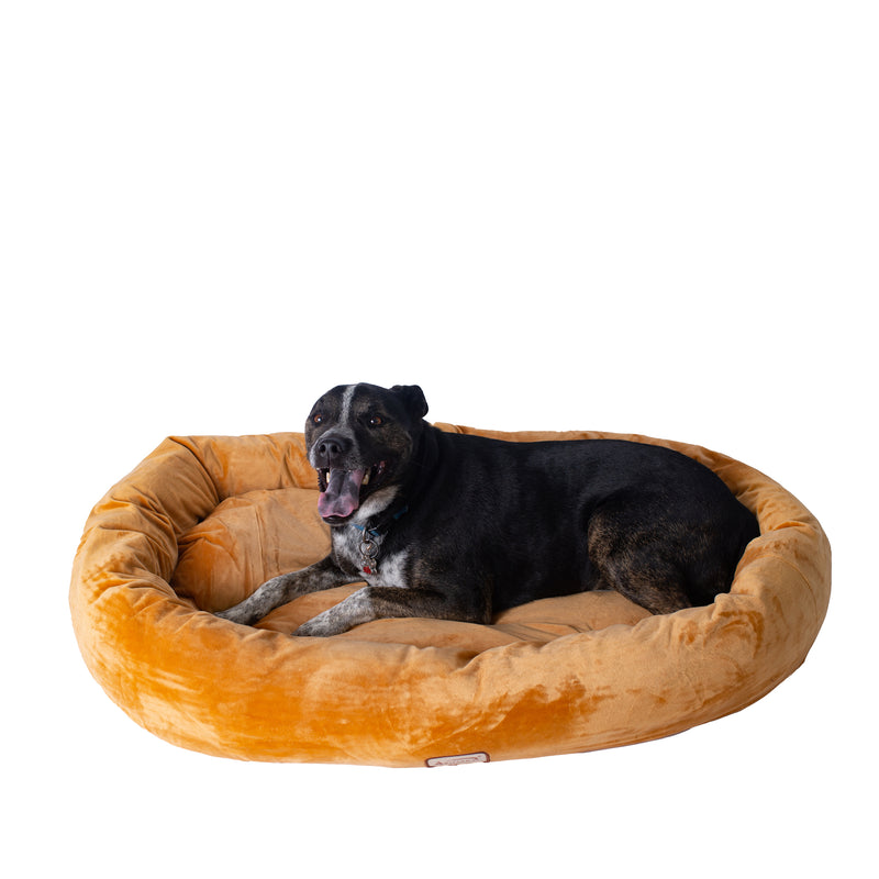 Armarkat Bolstered Pet Bed and Mat, ultra-soft Dog Bed,  Brown, Large