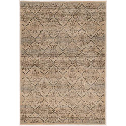 Jewel Trellis Beige & Blue 8x10.3, Rug