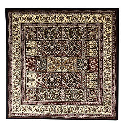 Persian Treasures Baktiyari Red 8SQ, Rug