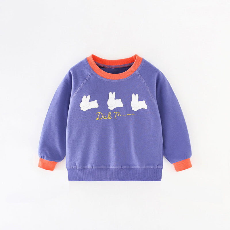 Baby Girl Rabbit Print Pattern Simple Colorblock Design Fashion Hoodie