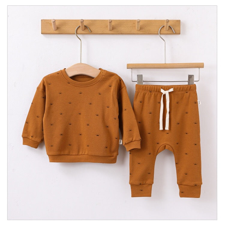 Baby Boy And Girl Print Pattern Cotton Hoodie Combo Trousers Sets